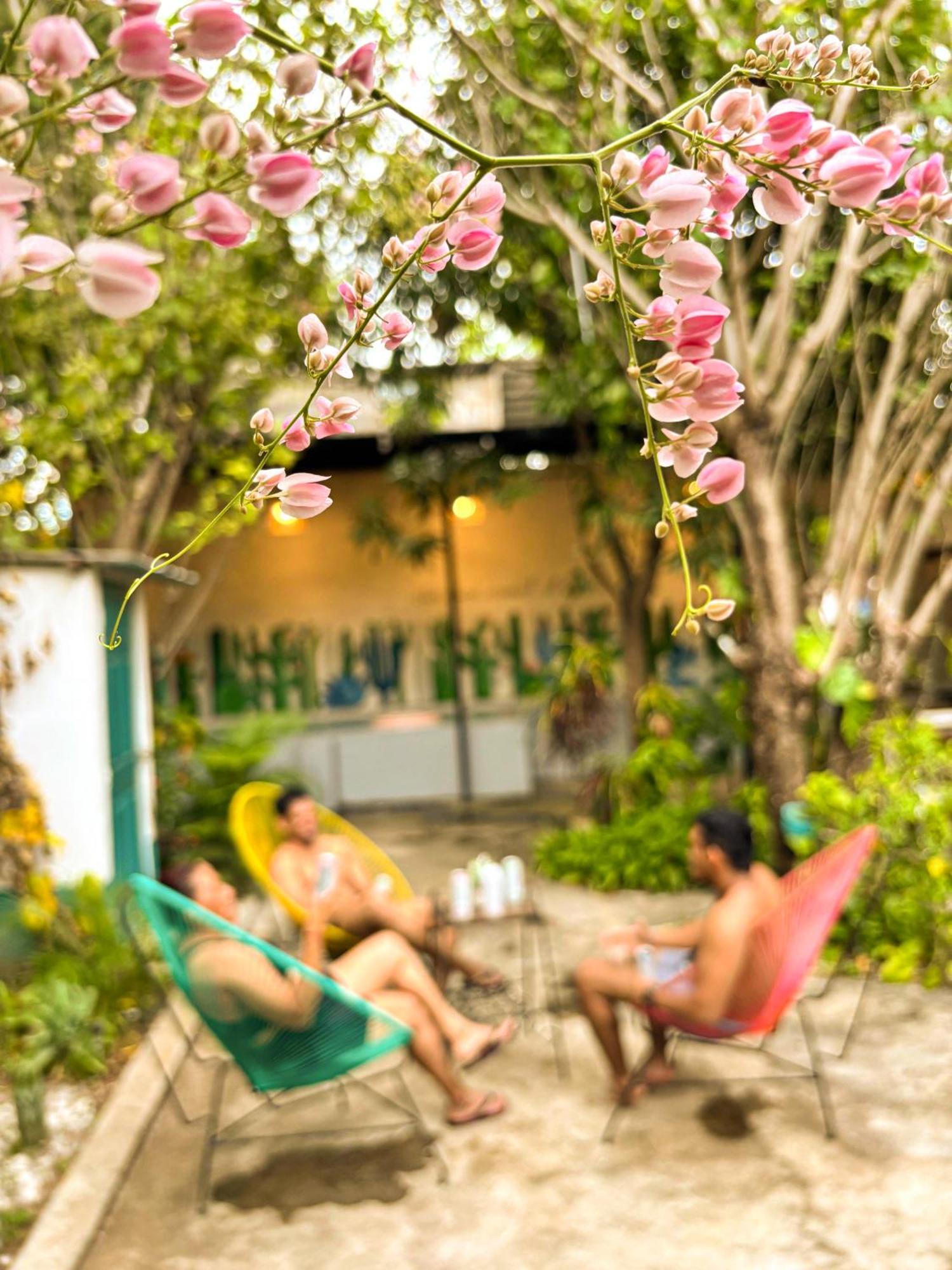 Hostal El Rio León Eksteriør bilde
